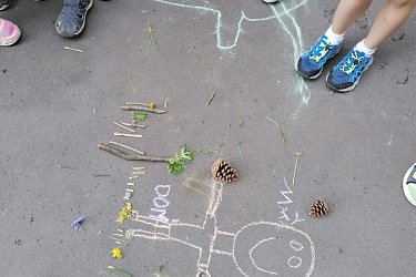 Rosničky a jejich umění v přírodě